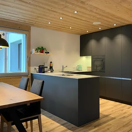 Casa Molina Apartment Sedrun